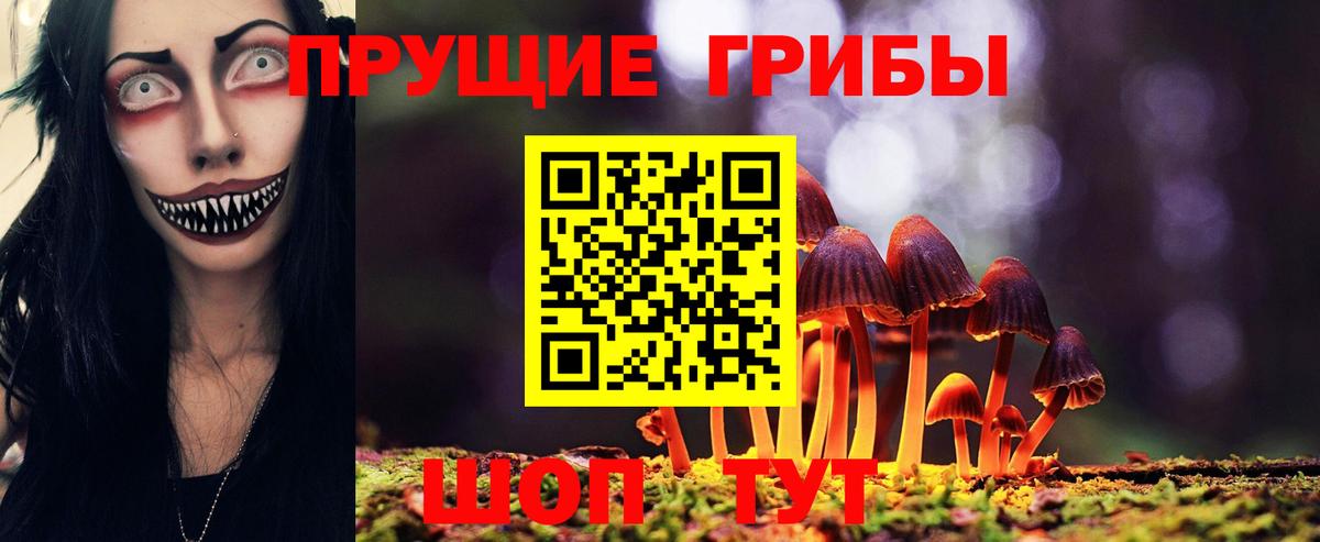 Псилоцибиновые грибы Magic Shrooms Сафоново